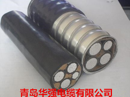 铝合金电缆2