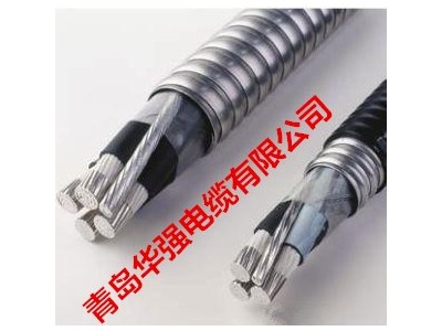 铝合金电缆